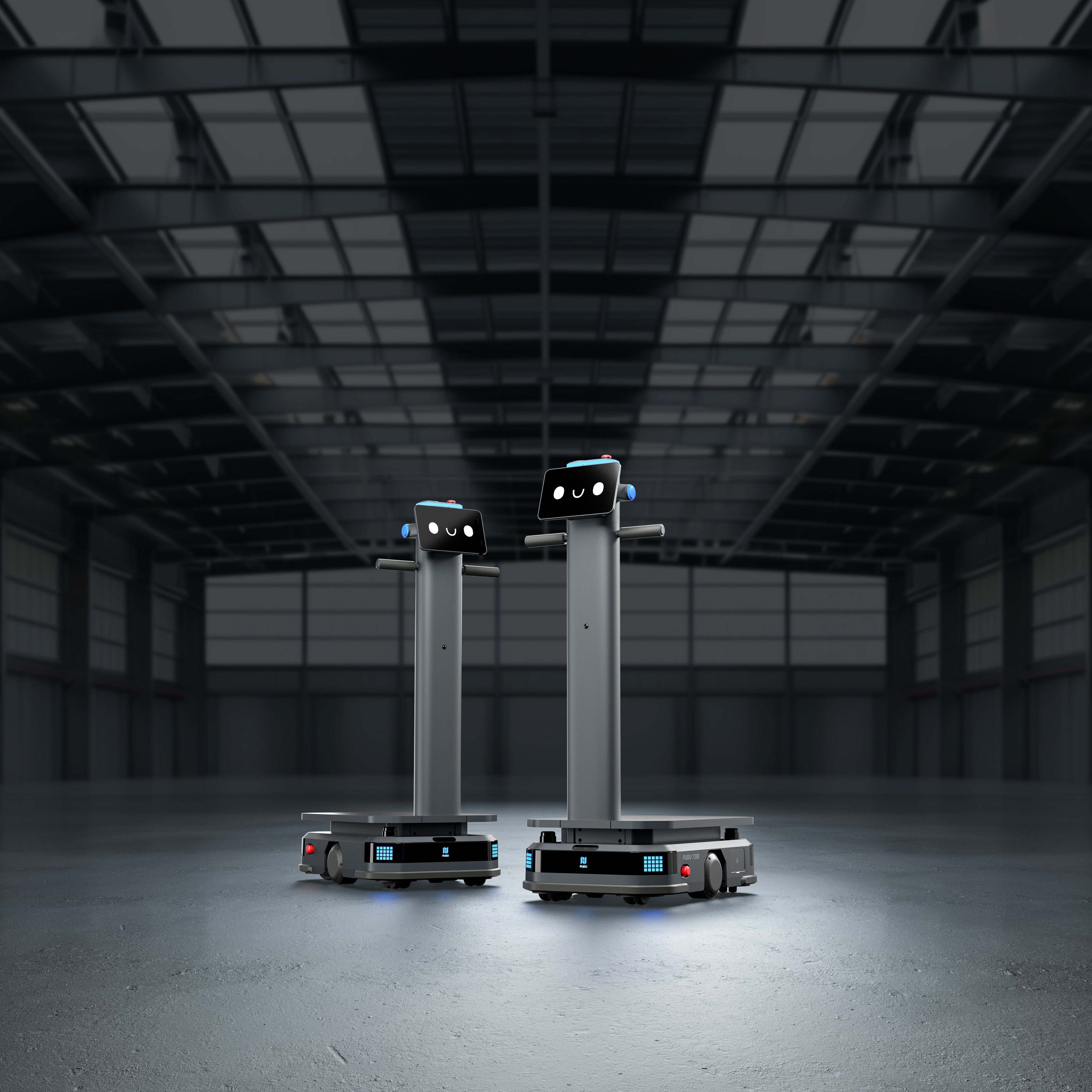 Service Robots