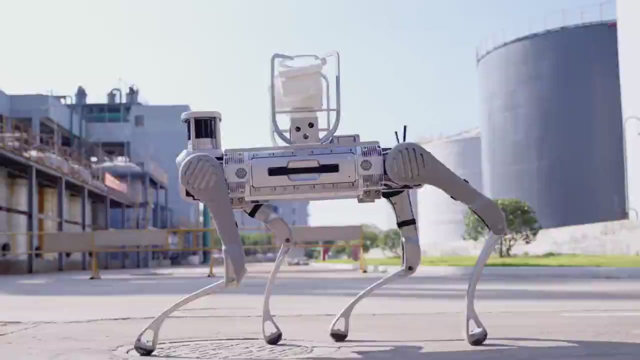 Load video: We develop industrial solutions for quadrupeds.